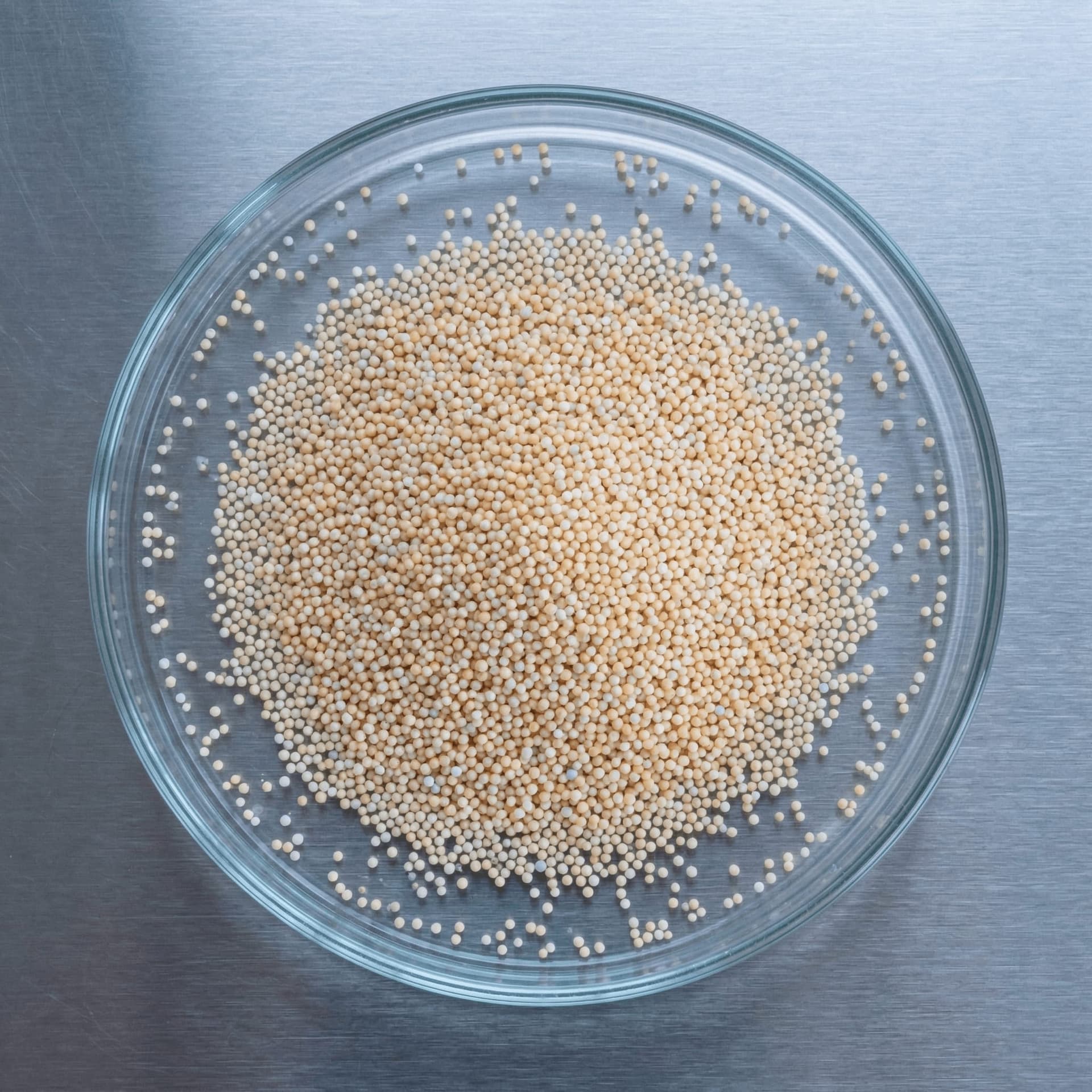 Folate (5-MTHF)