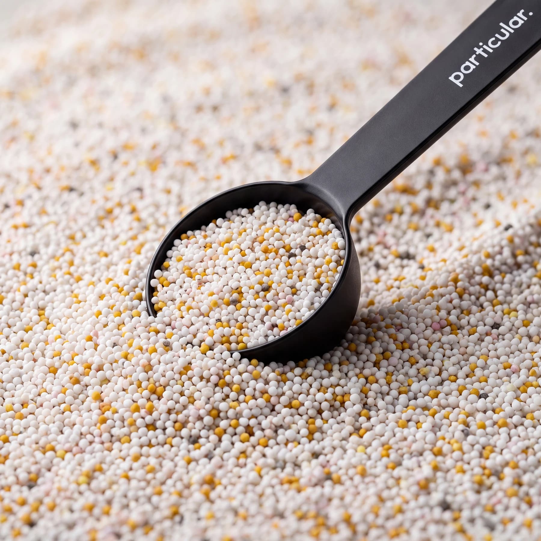 An enlarged view of tiny white, yellow and pink supplement granules in a black Particular scoop